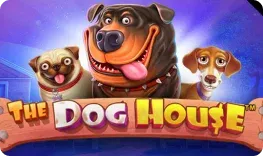 DelOro Casino – The Dog House